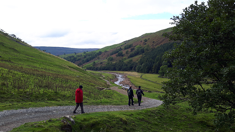 Looking ahead into Swaledale