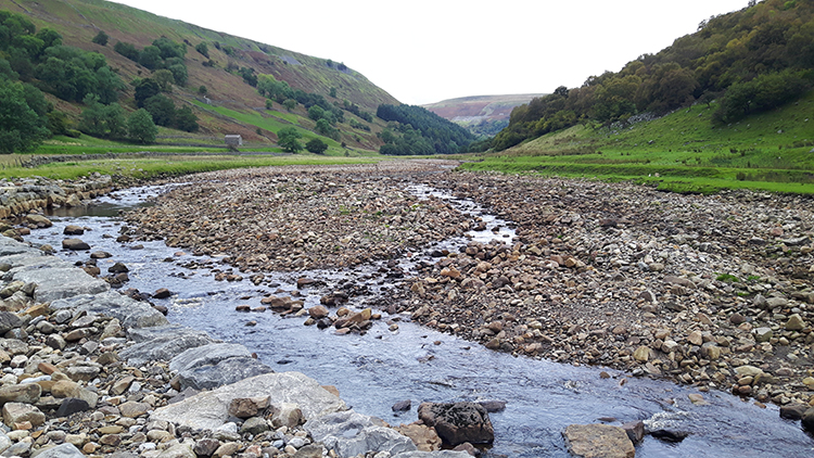 Shingle in the Swale