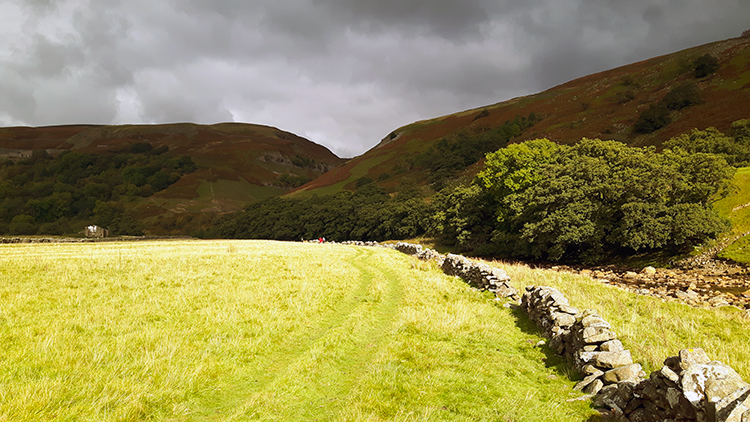 Sun kissed Swaledale