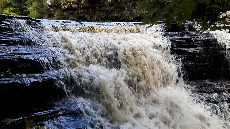 Catrake Force