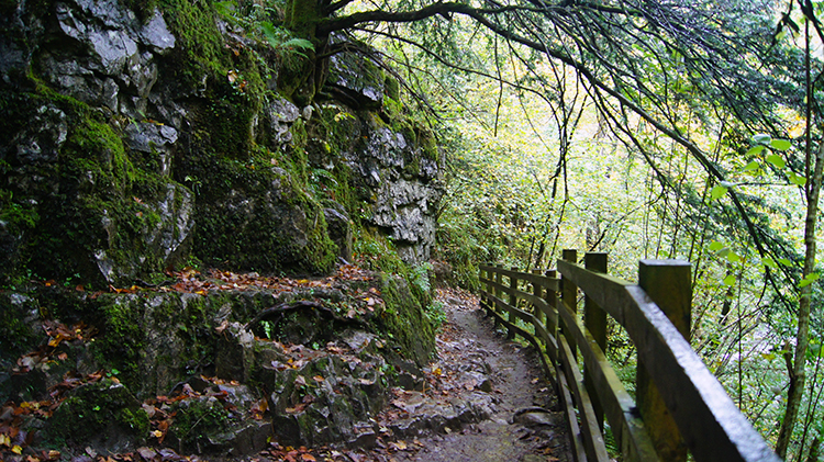 Cliffside Path
