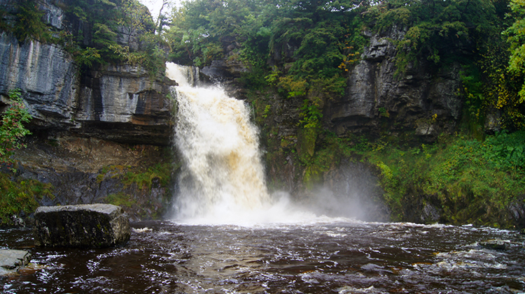 Thornton Force