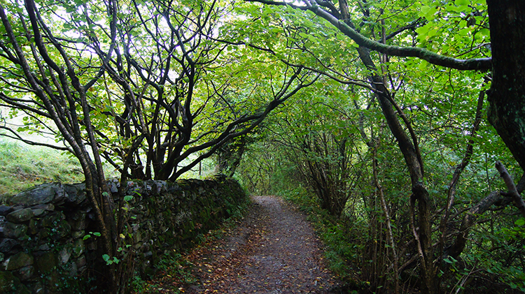 Path back to Ingleton