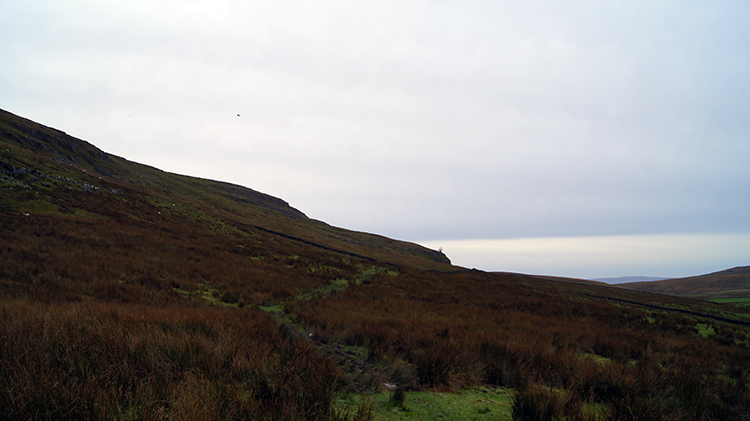 Climbing to Botany Bay