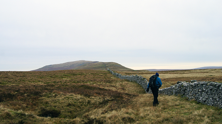 High Brow Hill Pasture