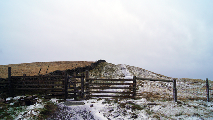 Reaching the snow line