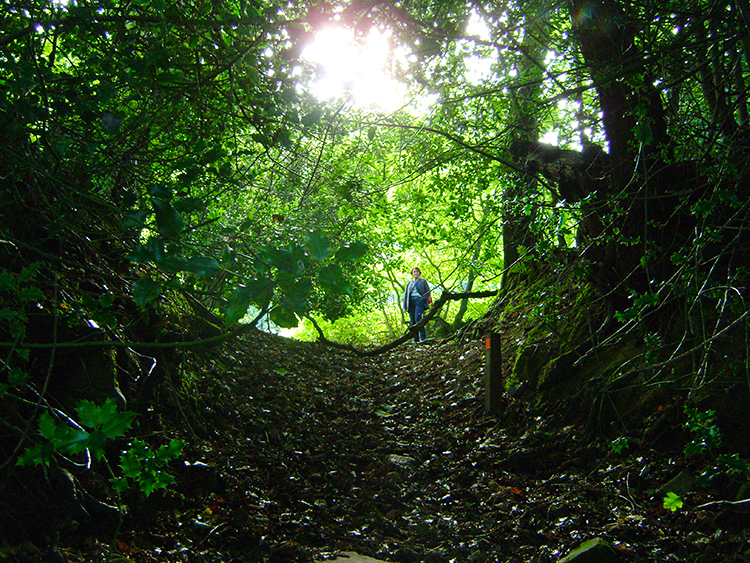 Holloway to the river