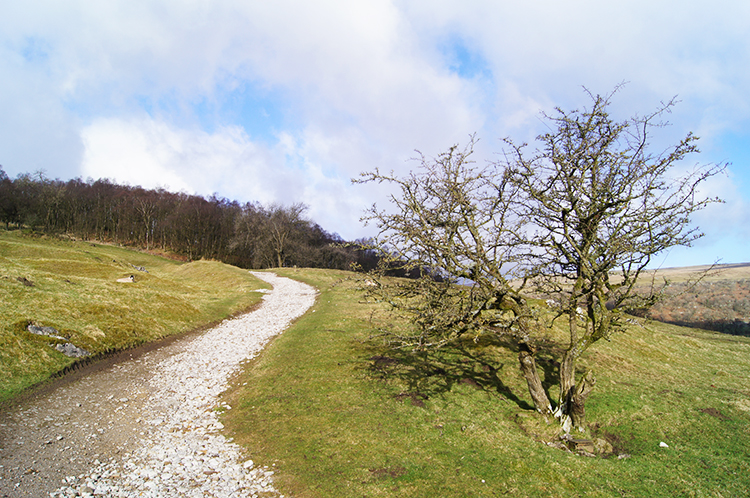 Climbing to Birks Fell