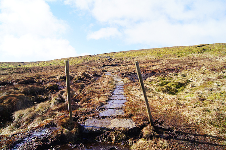 The path on Birks Fell