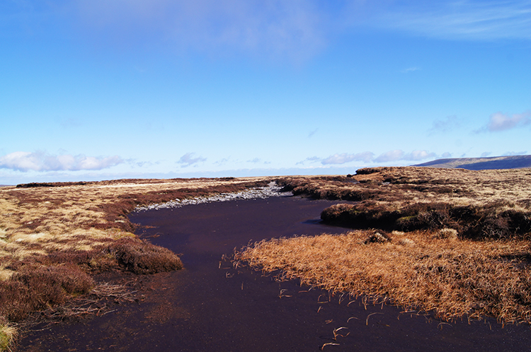 Dry peat bed on Birks Fell