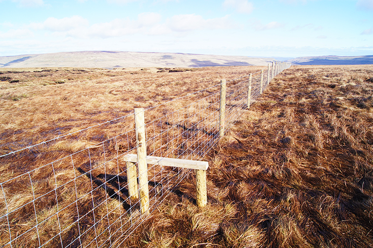 Fence crossing point