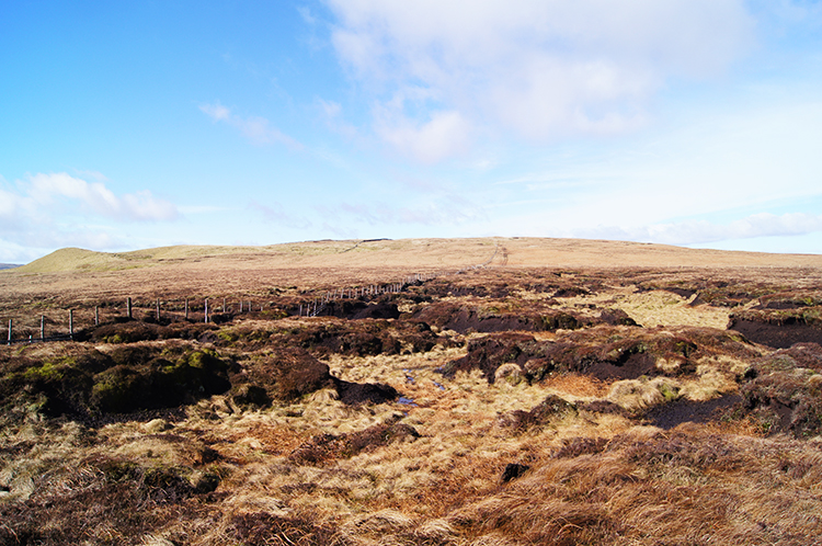 Peat Hag Maze