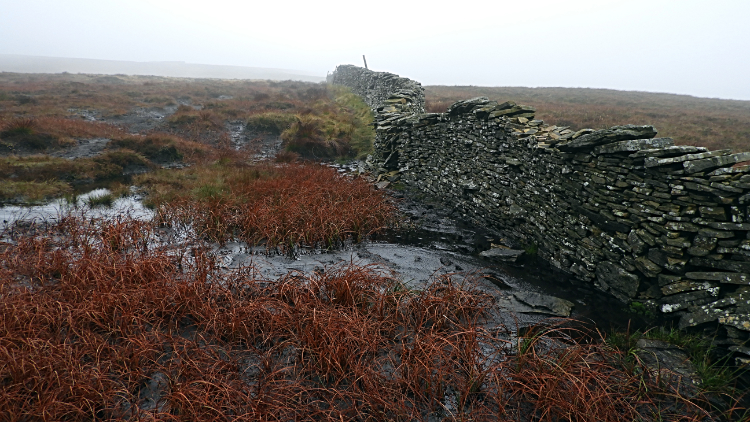 Bog hopping from Pen-y-ghent to Plover Hill