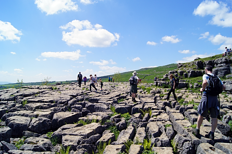 Limestone pavement of Malham Cove