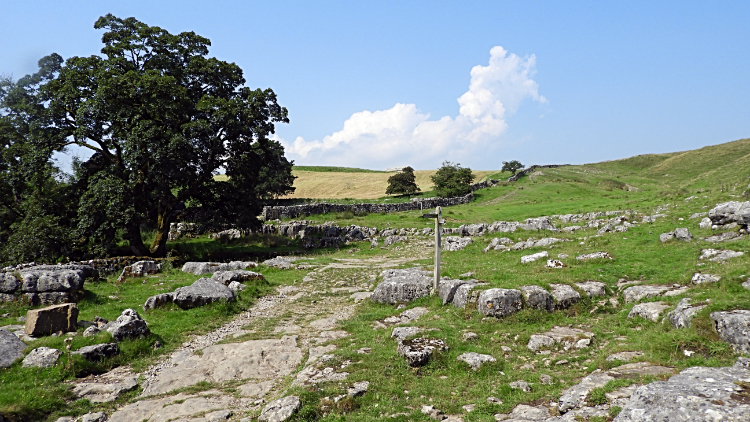 Limestone pavement at Scar House