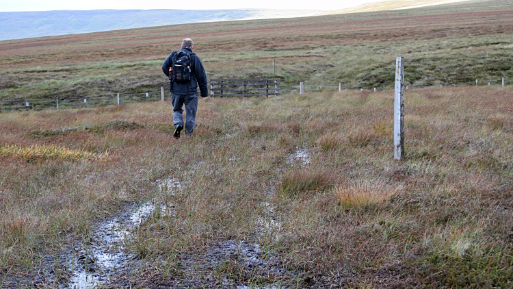 Yomping the sodden ground of Feather Bed Moss