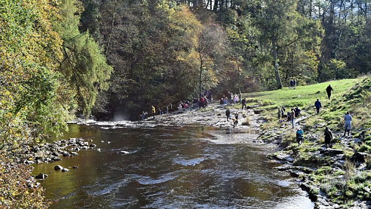 Crowds enjoying the scenery at Stainforth Force
