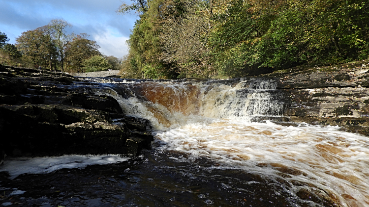 Stainforth Force