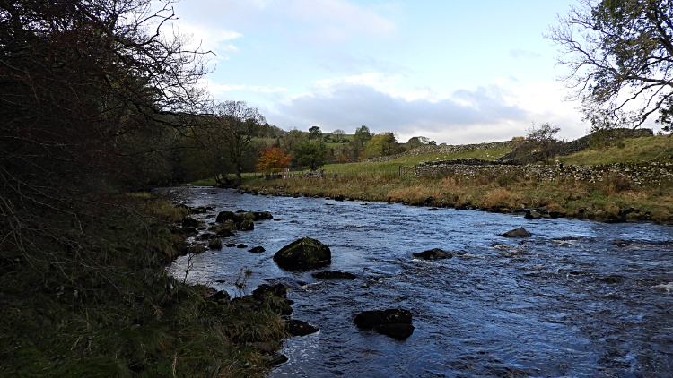 River Ribble