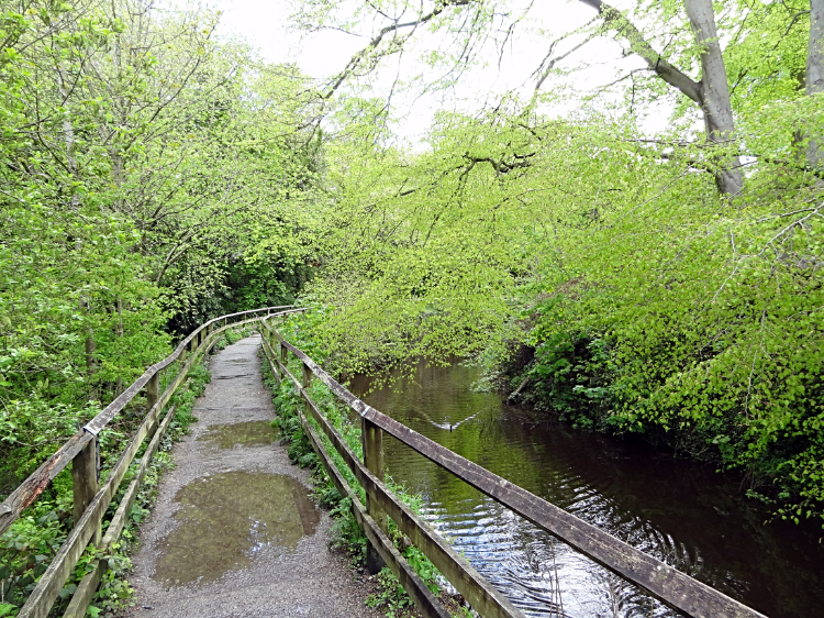 The walkway to the woods