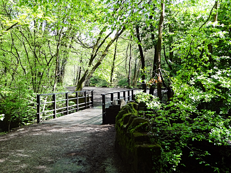 Services bridge over Eller Beck