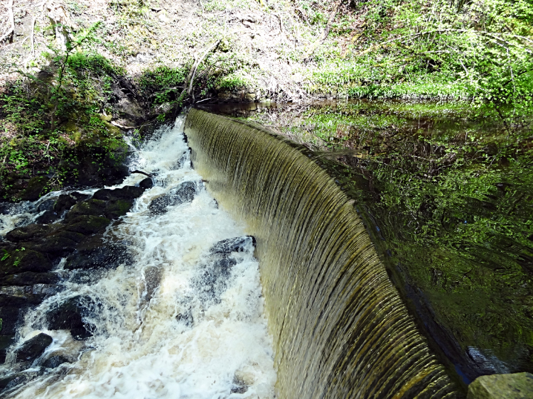 Weir in Eller Beck