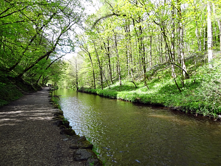 Round Dam section of Eller Beck