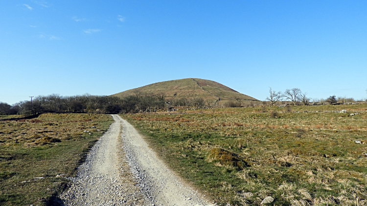 Approaching Park Fell from Ashes Shaw Pasture