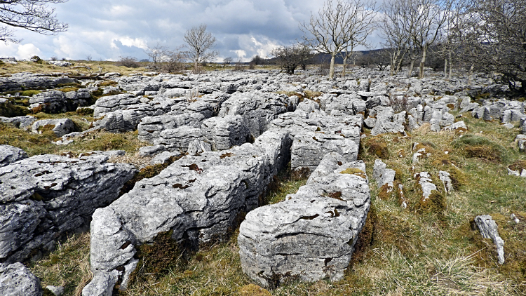 Limestone pavement at Souther Scales