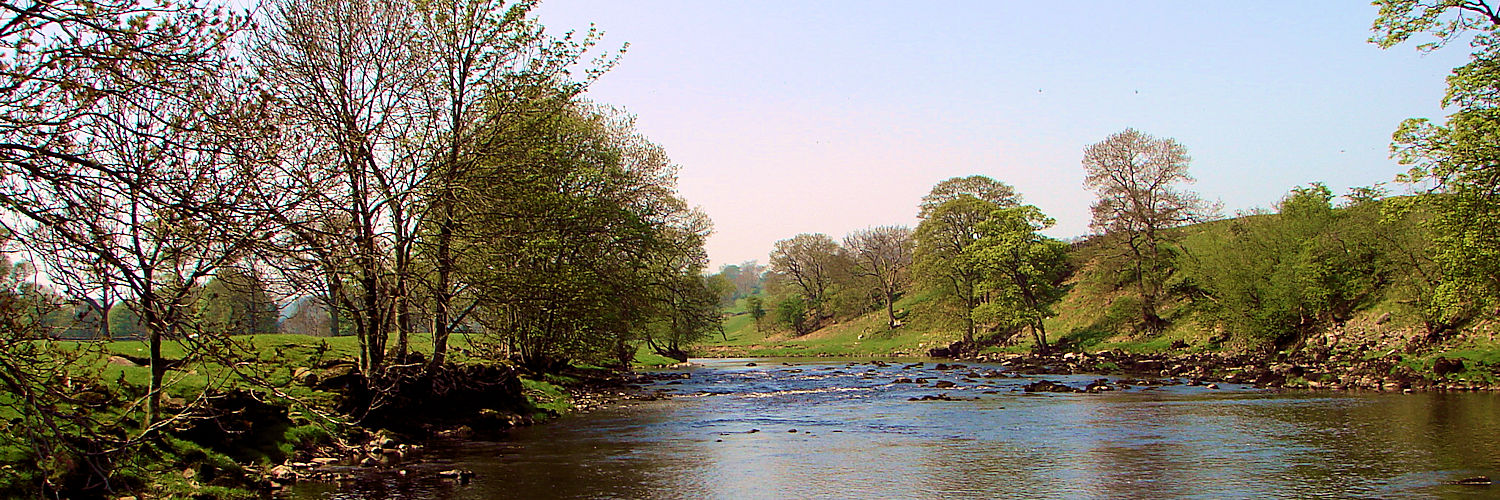 The River Ure near Redmire Force