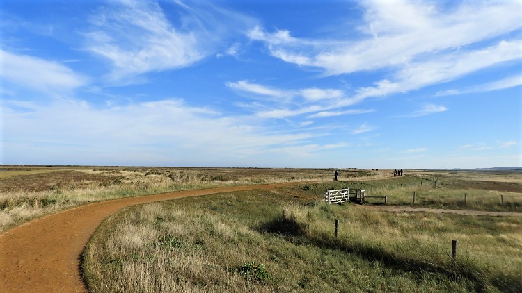 Blakeney Eye