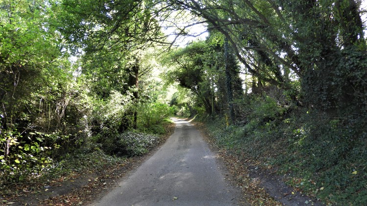 Quiet lane to Wiveton