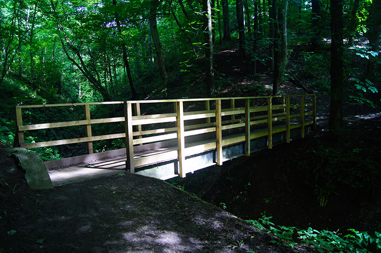 Wooden footbridge across Dane's Dyke