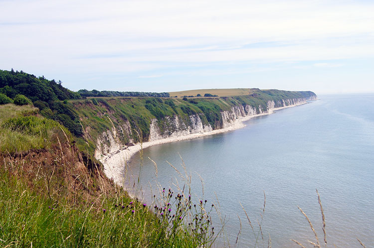 Looking east towards Flamborough Head