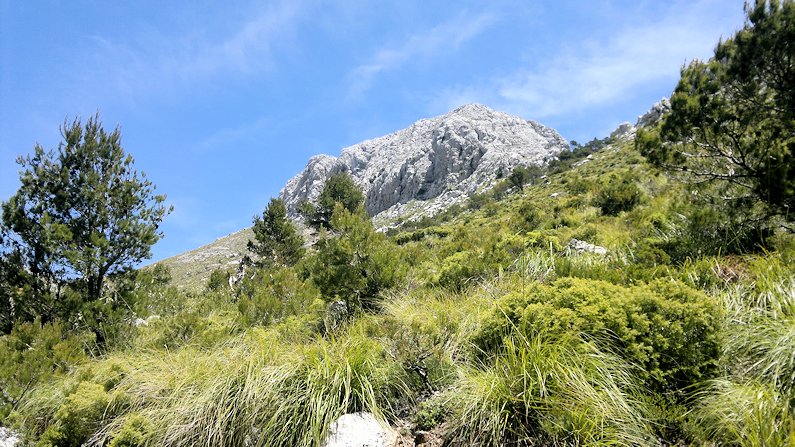 Towards the summit of Massanella