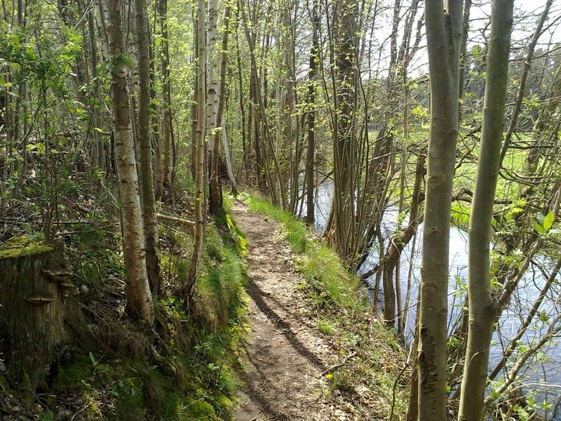 Heidschnuckenweg along the Örtze river near Poitzen