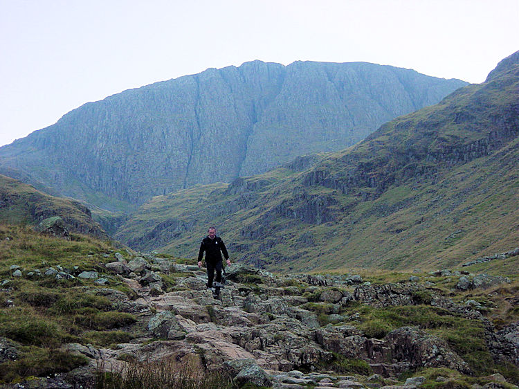 Grains Gill