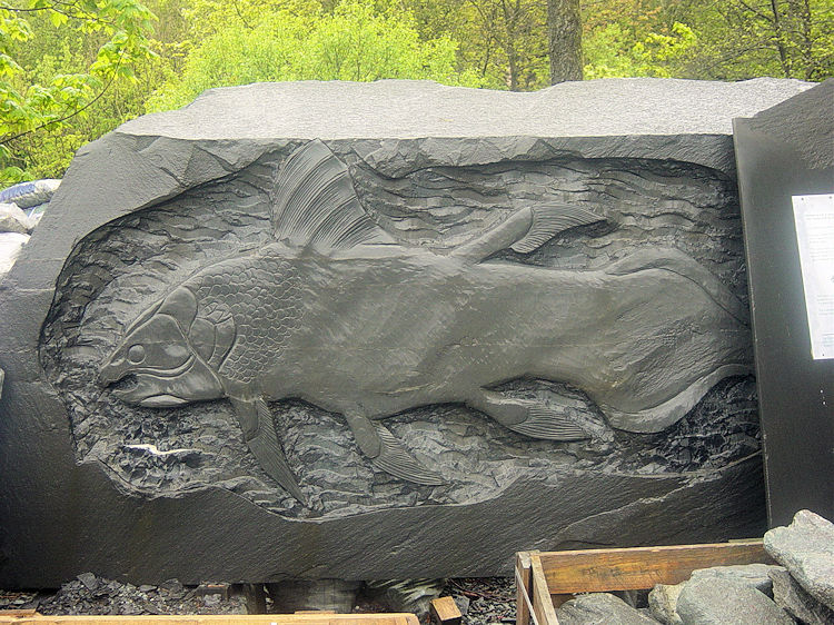 Skelwith Slate Fish