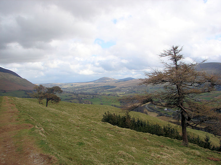 View to Binsey from Latrigg