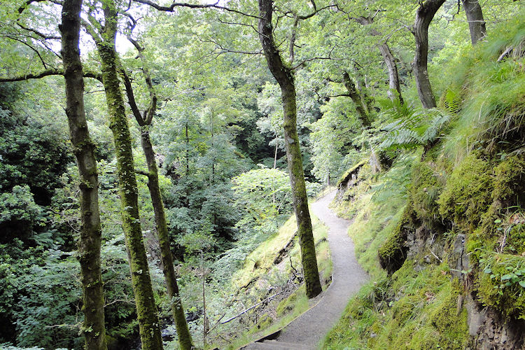 The woodland path to High Force