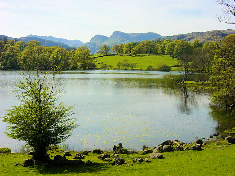 Exquisite view of Loughrigg Tarn