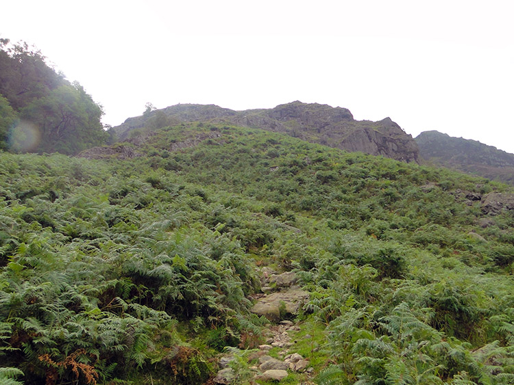 The steep ascent of Glaramara via the edge of Hind Gill