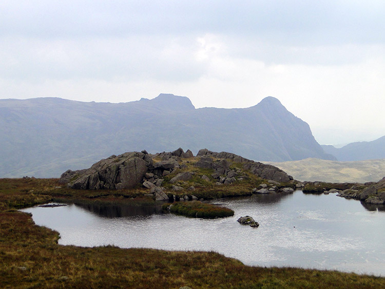 Looking to the Langdale Pikes from High House Tarn