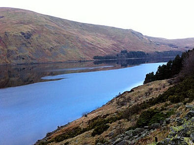 Looking north along Haweswater