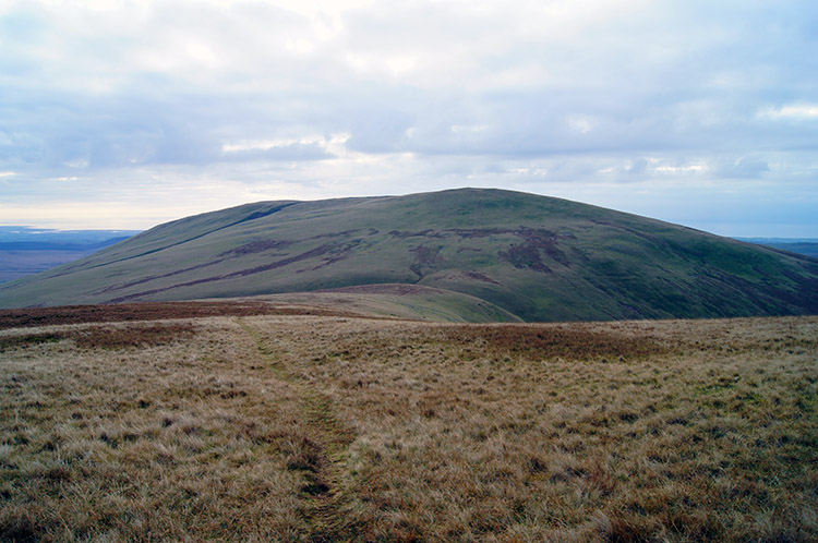 Lank Rigg as seen from Whoap