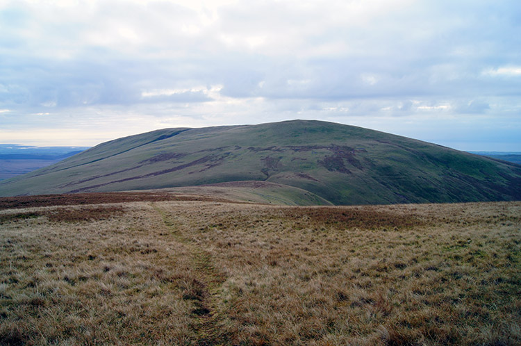 Lank Rigg as seen from Whoap