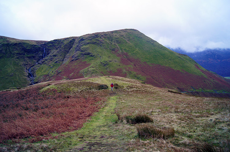 Looking back to Moss Force