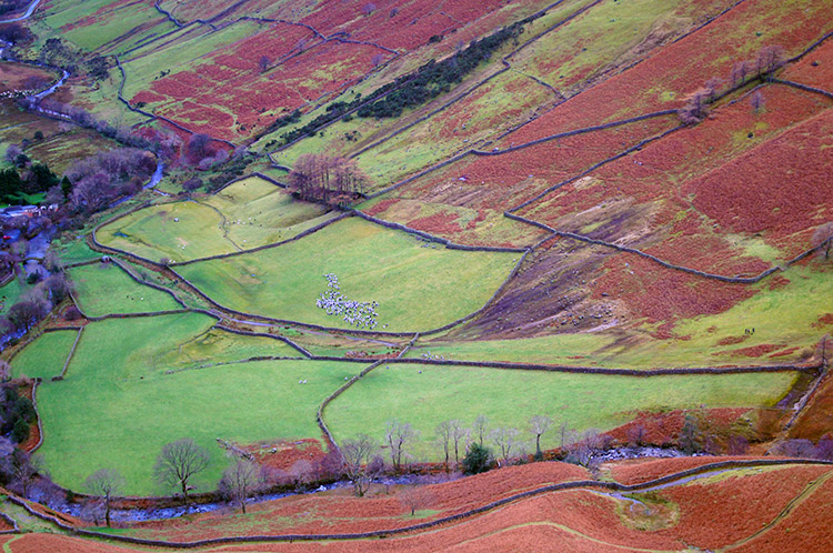 Field patterns in Wasdale