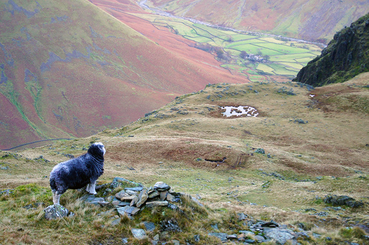 Admiring the view