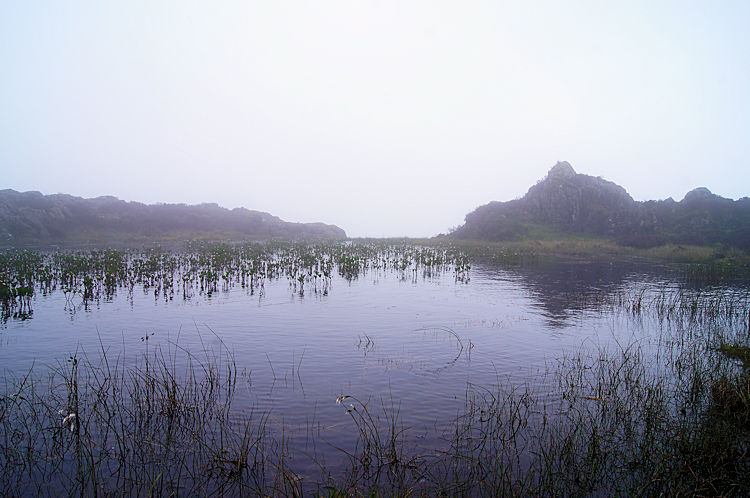Unnamed tarn between the summit and Innominate